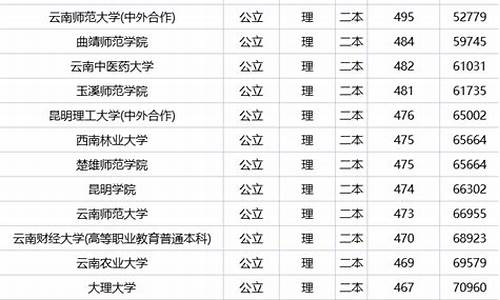 云南二本大学排名榜公办_云南二本公办大学排名及分数线