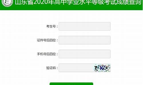 高中学业水平分数查询系统_高中学业水平分数查询系统