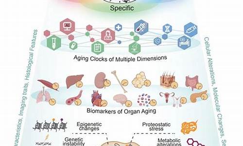 细胞衰老高考_细胞衰老学说高中生物