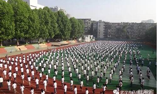 马房山中学高考_马房山中学高考升学率2019