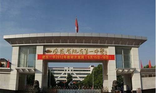 肥东一中2019高考成绩_肥东一中2020年高考录取